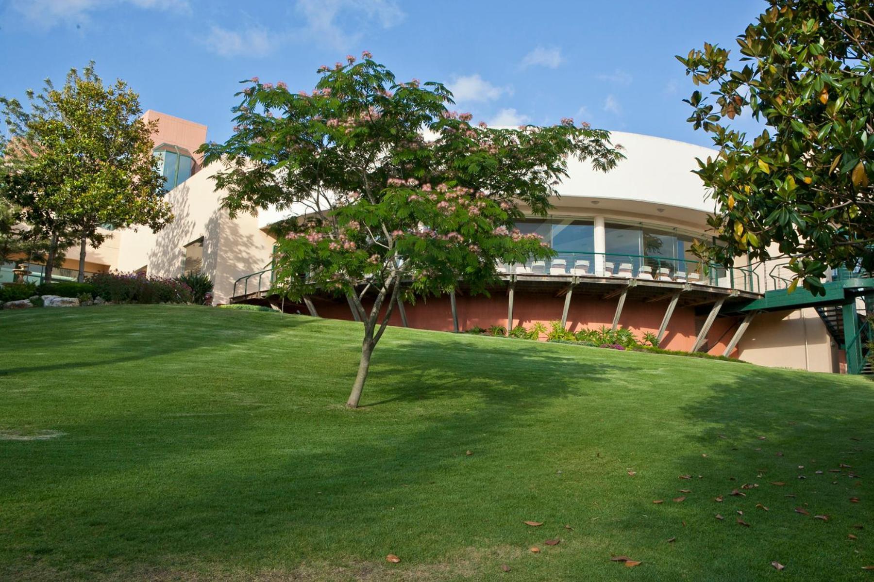 Carmel Forest By Isrotel Exclusive Beit Oren Eksteriør bilde